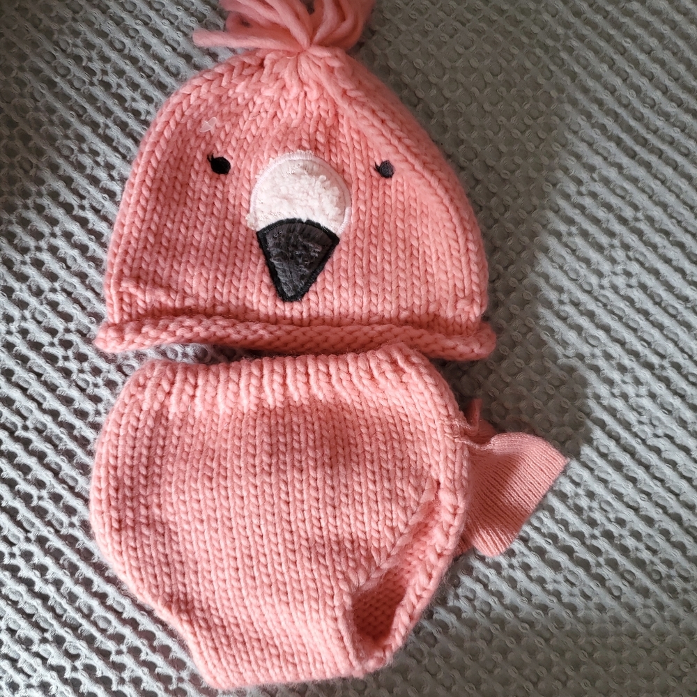 Target Flamingo Knit Photo set